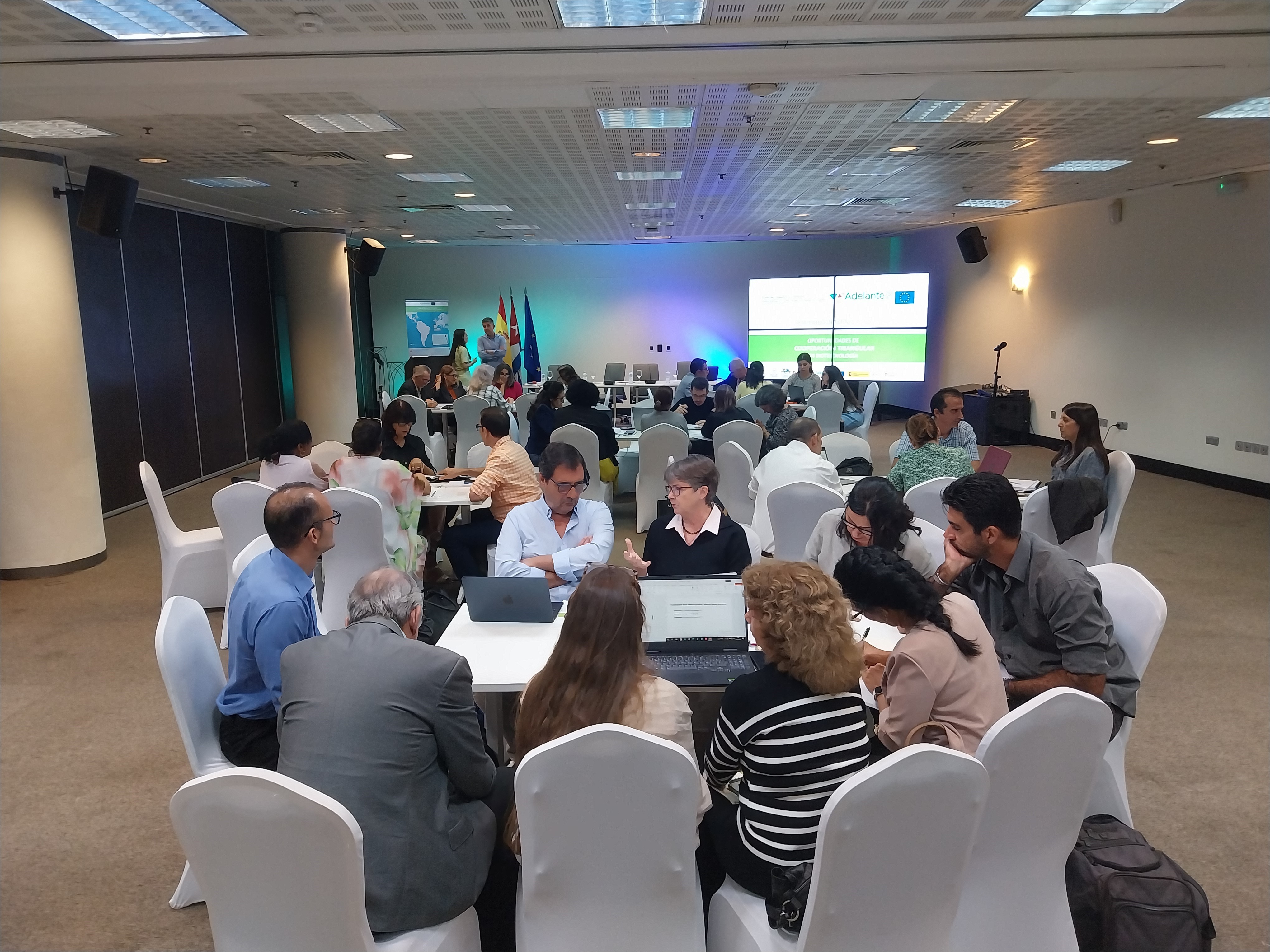 Los participantes exploran sinergias e identifican las bases para futuras alianzas triangulares